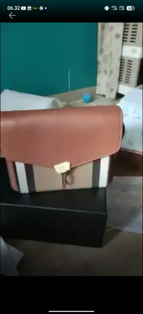 Blueberry bag talii