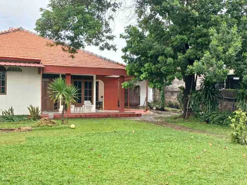Rumah Dengan Tanah Luas, Asri Dan Adem Pondok Kelapa