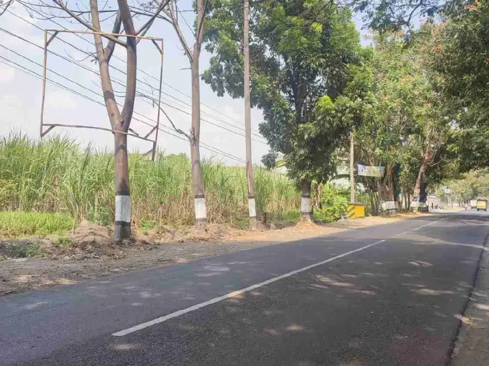 Dijual tanah jalur Provinsi Stb-Bondowoso