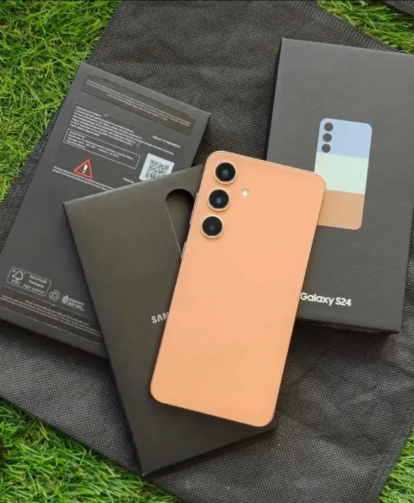 Samsung S24 Regular Sein