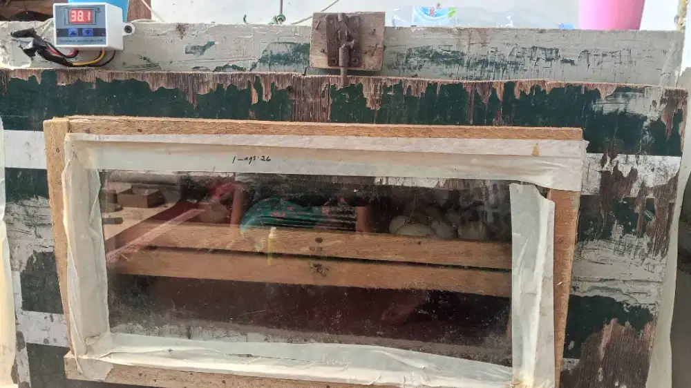 Mesin Penetas Telur, Kapasitas 100 telur