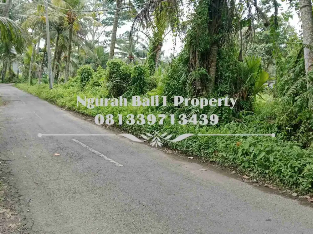 Murah Dijual Tanah Luas 10 Are Kawasan Villa di Ubud Pejeng - Thumbnail 4