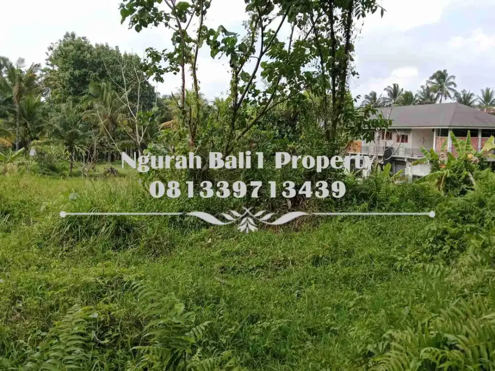 Murah Dijual Tanah Luas 10 Are Kawasan Villa di Ubud Pejeng - Thumbnail 2