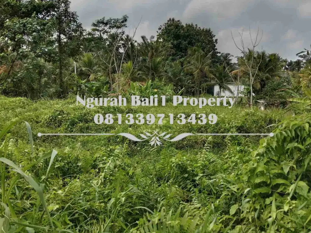 Murah Dijual Tanah Luas 10 Are Kawasan Villa di Ubud Pejeng - Thumbnail 5