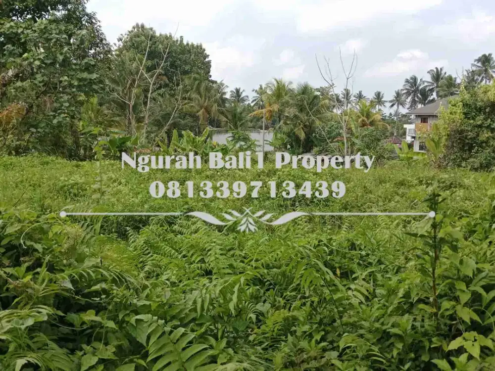 Murah Dijual Tanah Luas 10 Are Kawasan Villa di Ubud Pejeng - Thumbnail 3