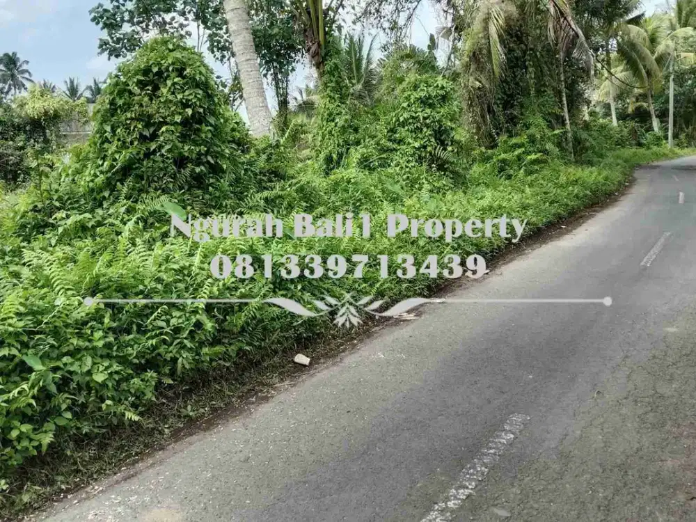 Murah Dijual Tanah Luas 10 Are Kawasan Villa di Ubud Pejeng