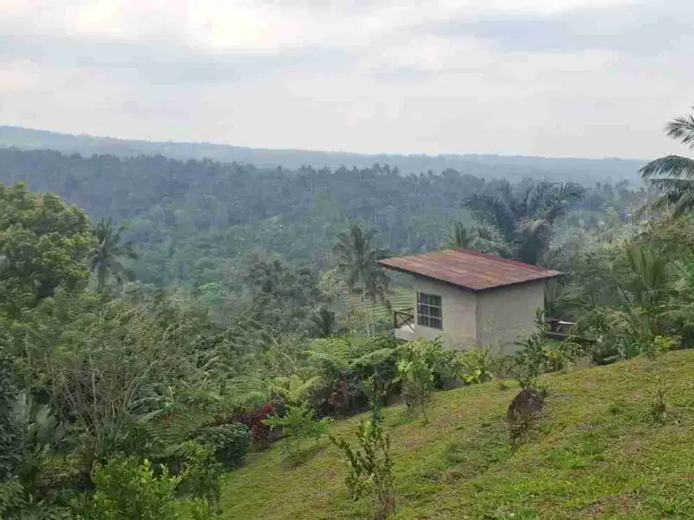 jual tanah murah ada bangunannya 70 are (7000m2).harga global 3,2m ngo