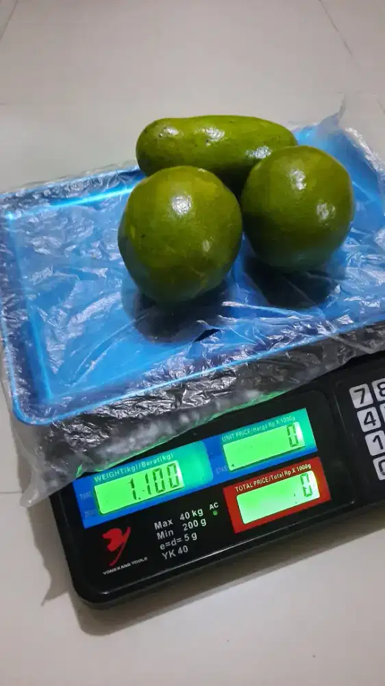 Jual alpukat super