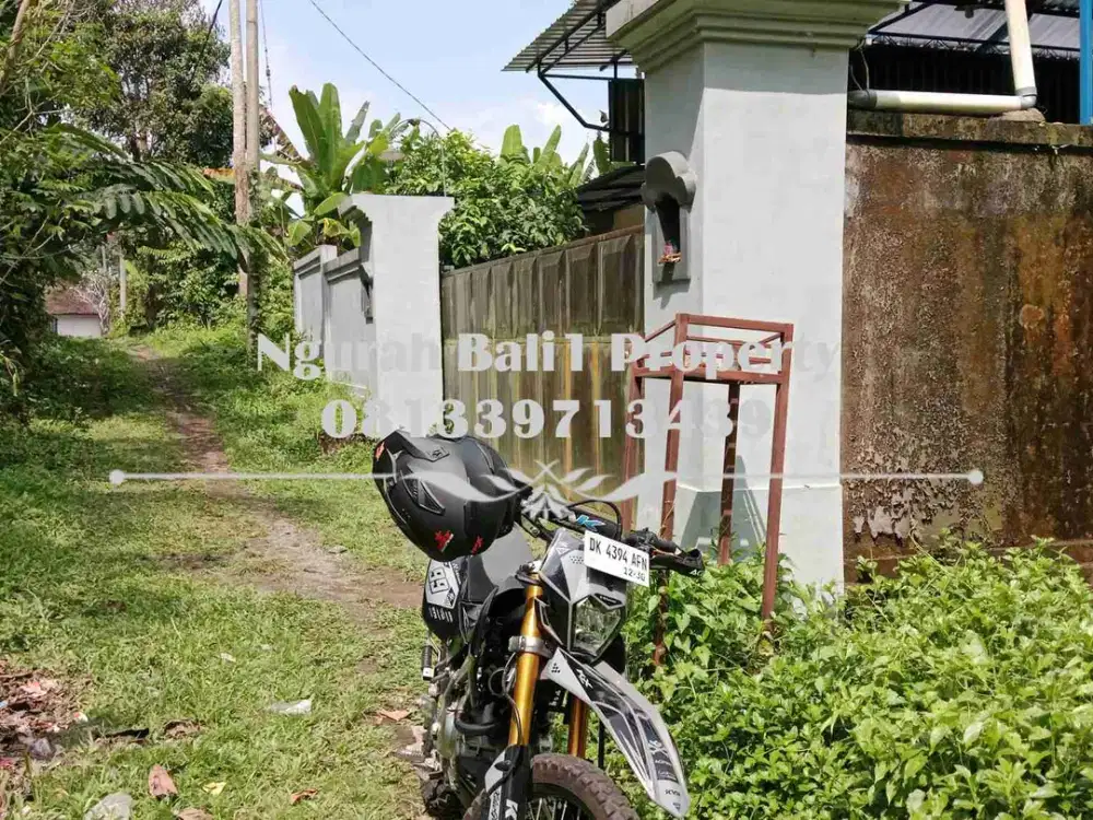 Disewakanl Tanah Murah Luas 55  Are Pemandangan Hutan di Ubud Pejeng - Thumbnail 7