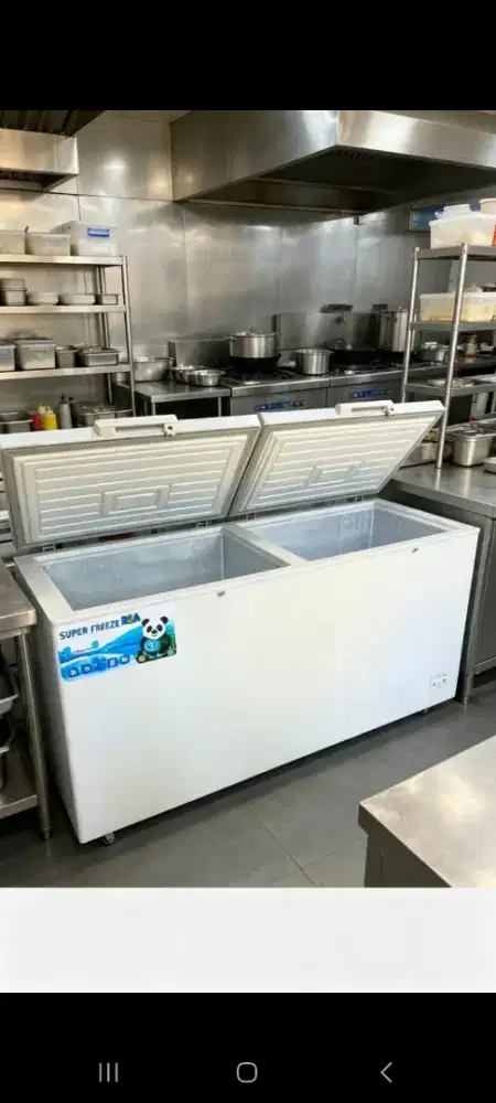 freezer box 750L RSA