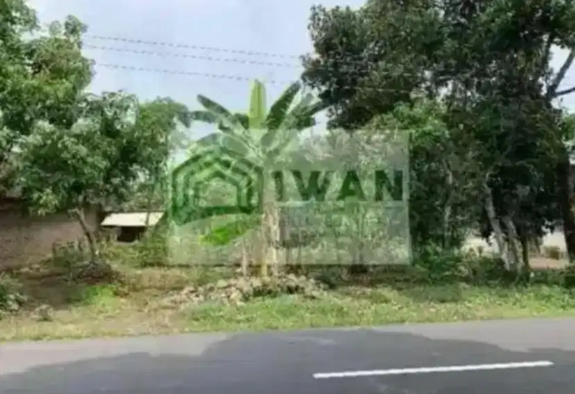 Tanah Milik Sendiri Kecamatan Kota Hadap Jalan DPU