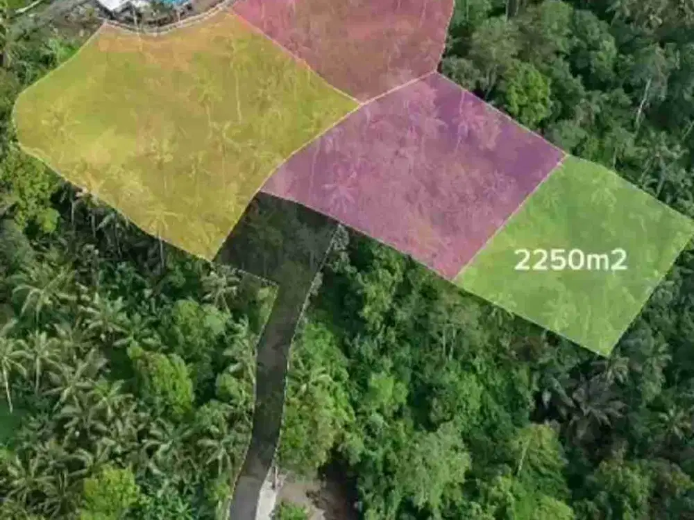 PRIME LOCATION IN WOS RIVER NEAR CAPELLA RESORT UBUD - Thumbnail 9