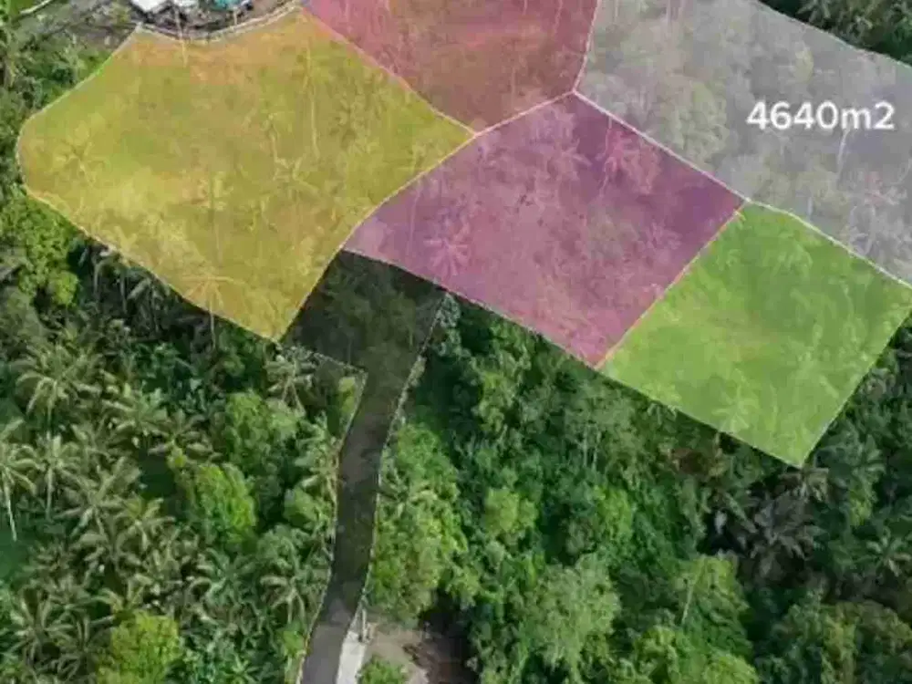 PRIME LOCATION IN WOS RIVER NEAR CAPELLA RESORT UBUD - Thumbnail 8