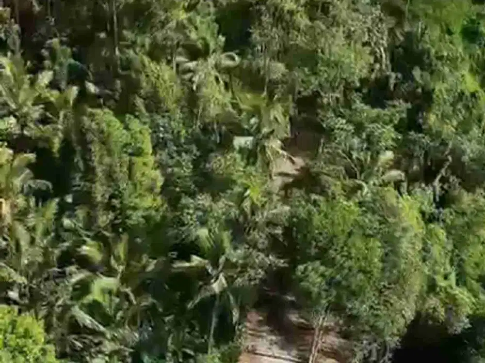 PRIME LOCATION IN WOS RIVER NEAR CAPELLA RESORT UBUD - Thumbnail 10