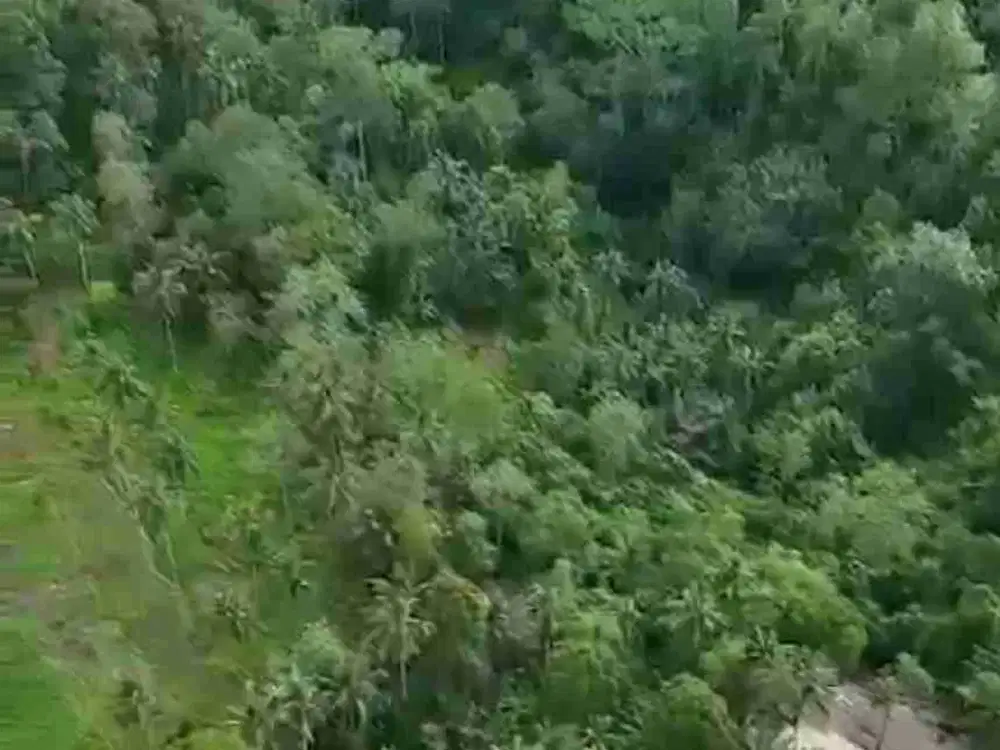 PRIME LOCATION IN WOS RIVER NEAR CAPELLA RESORT UBUD - Thumbnail 7