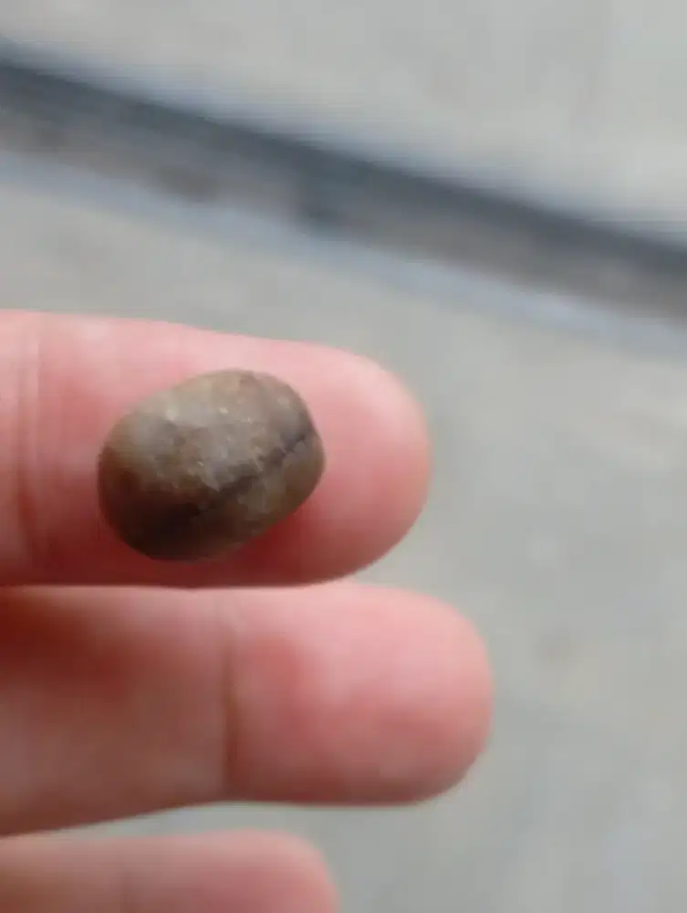 Batu Biji Kopi Motif Kendit (VERY RARE ITEM)