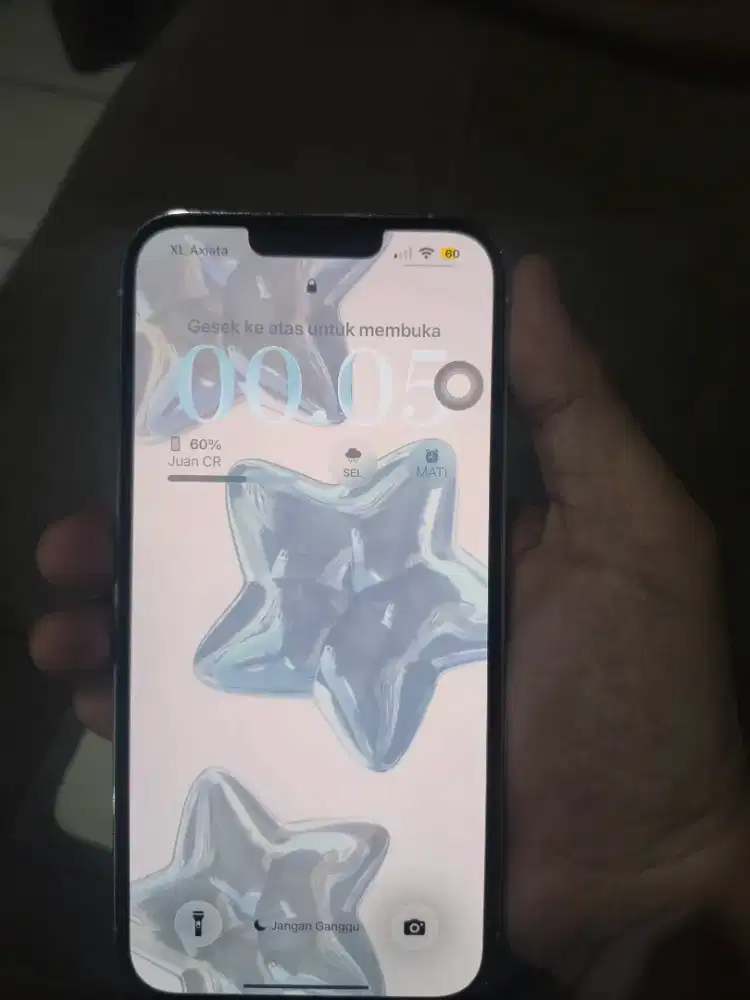 iPhone 13 Pro Max 256GB Silver (Inter)