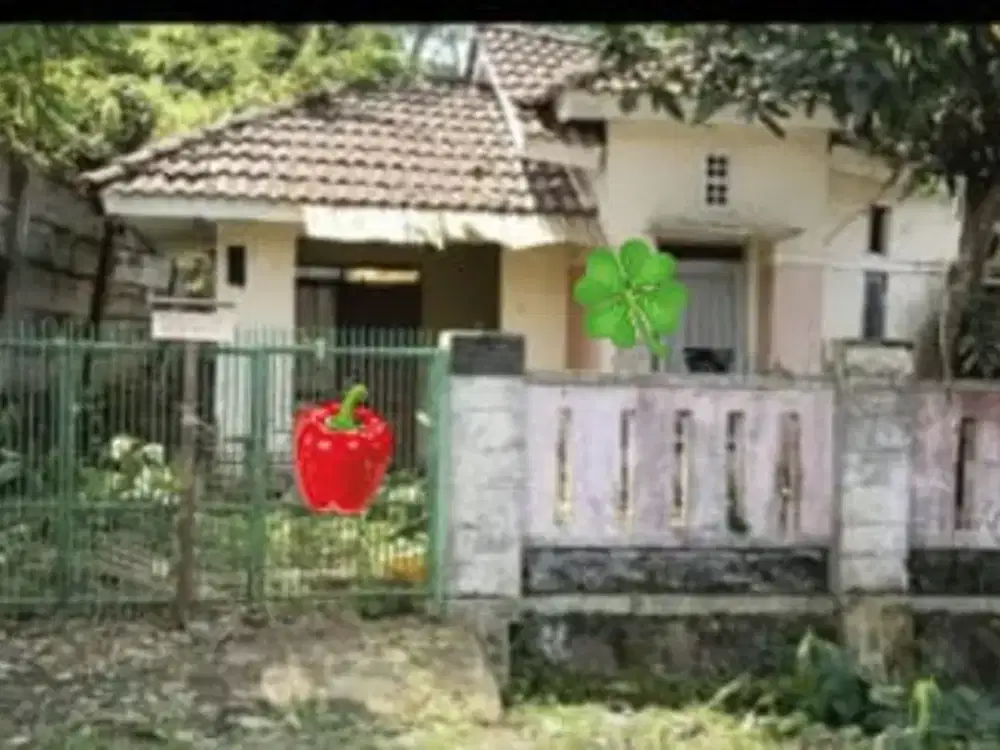 Dijual Rumah Hoek Butuh Renovasi di Citra Indah City 8439