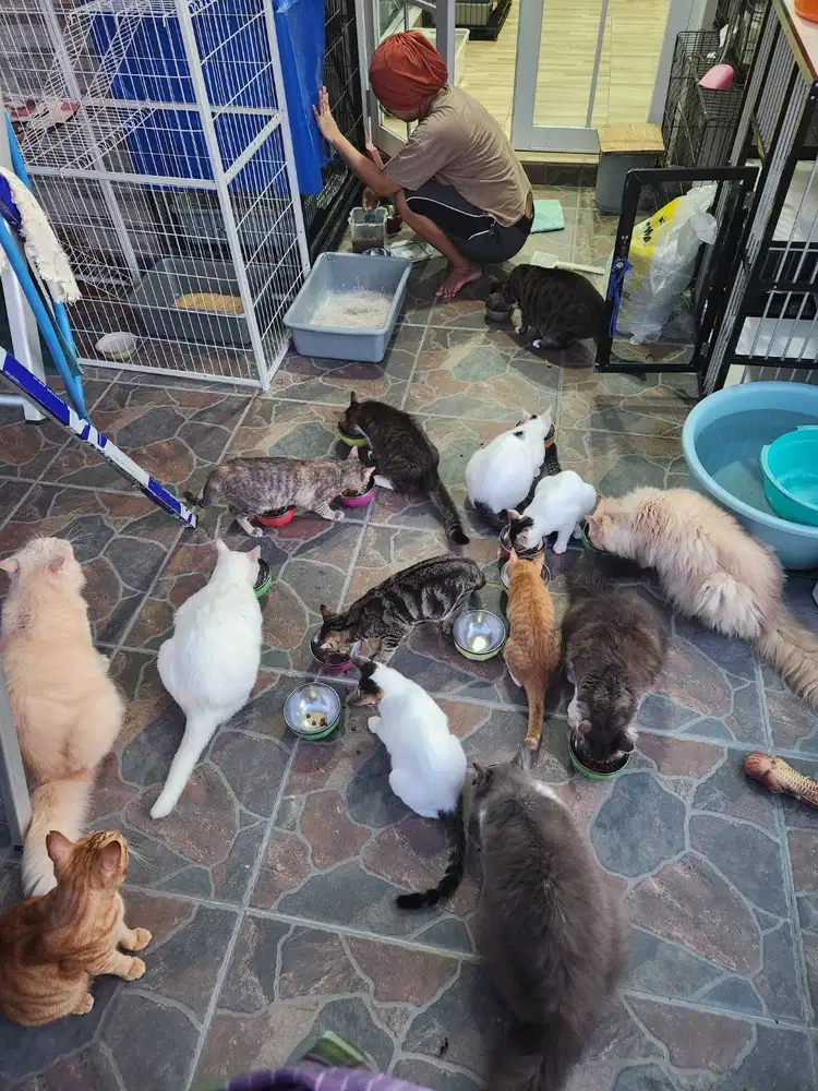 Pembantu Rumah Tangga menginap