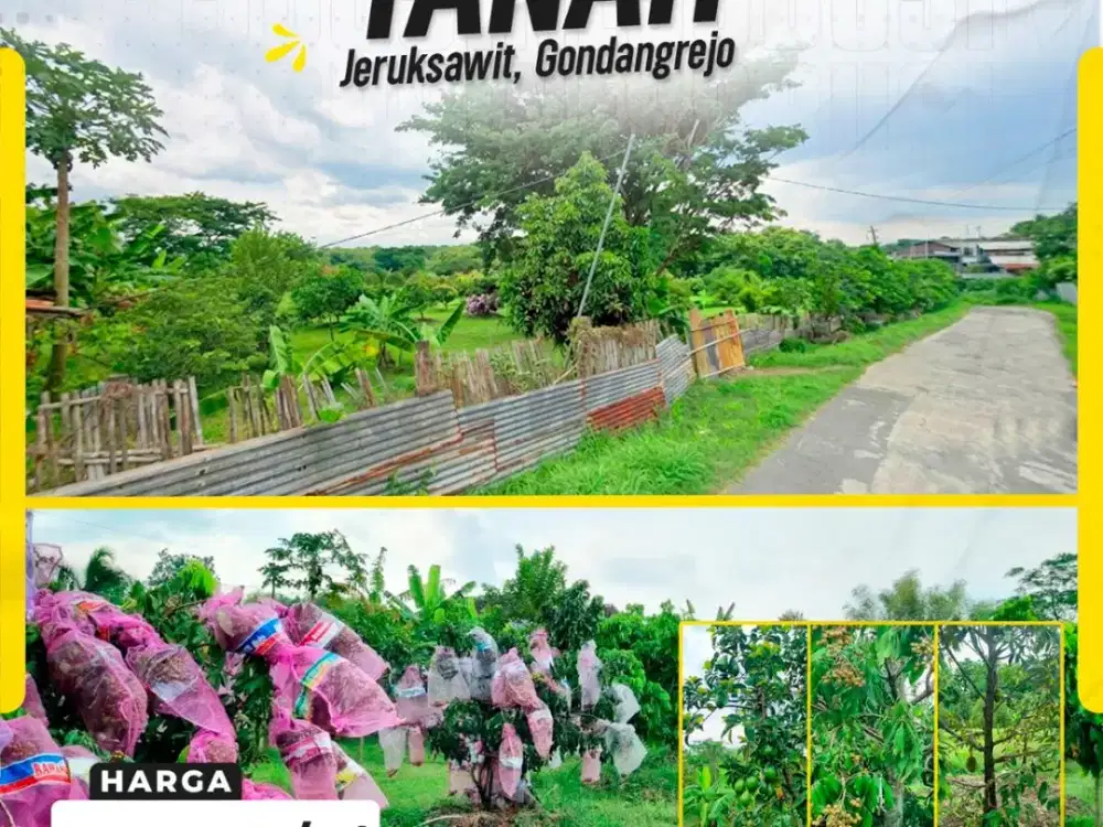 Tanah Kebun Buah Produktif Super Luas 2,3 Hektar Strategis di Jeruksawit Gondangrejo Karanganyar