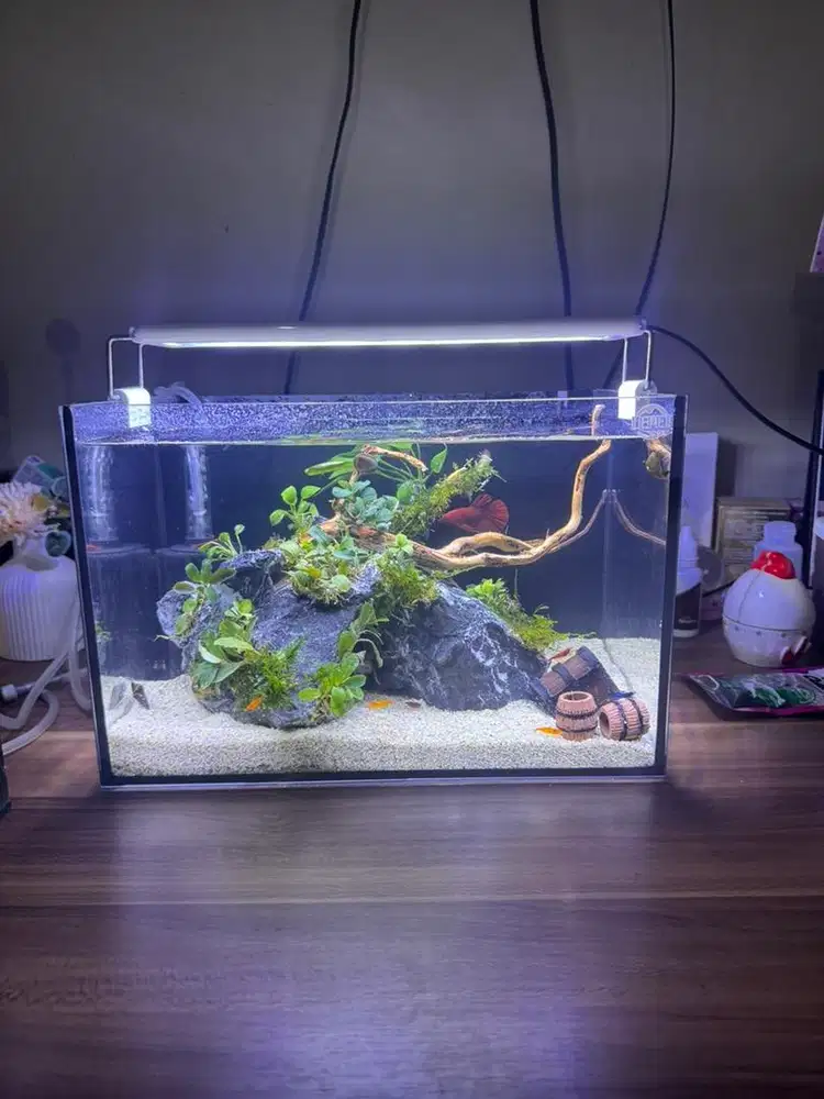 Aquarium 30x18x20