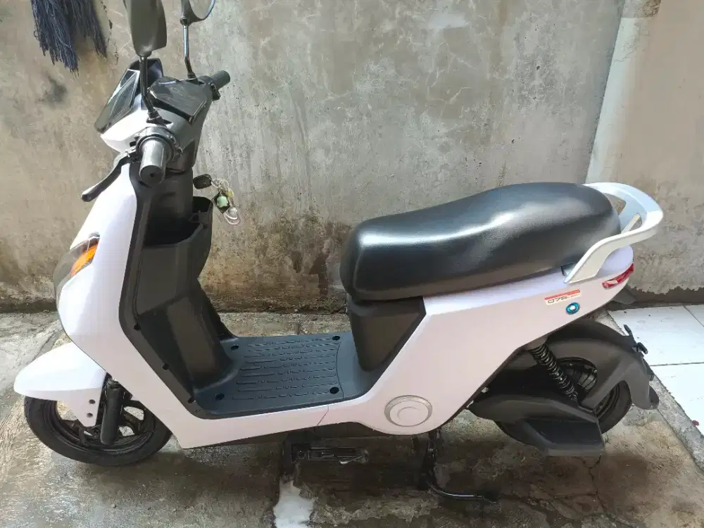Sepeda Listrik D 75