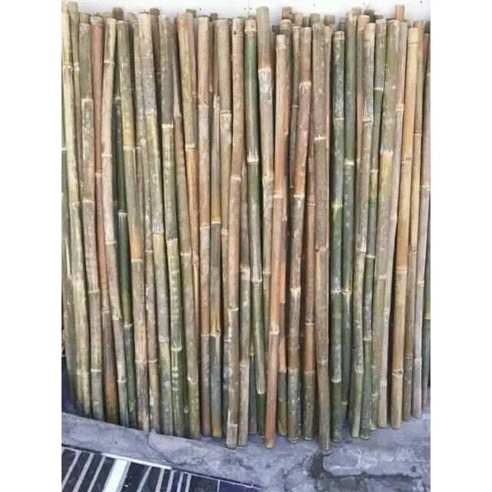 Bambu untuk umbul umbul