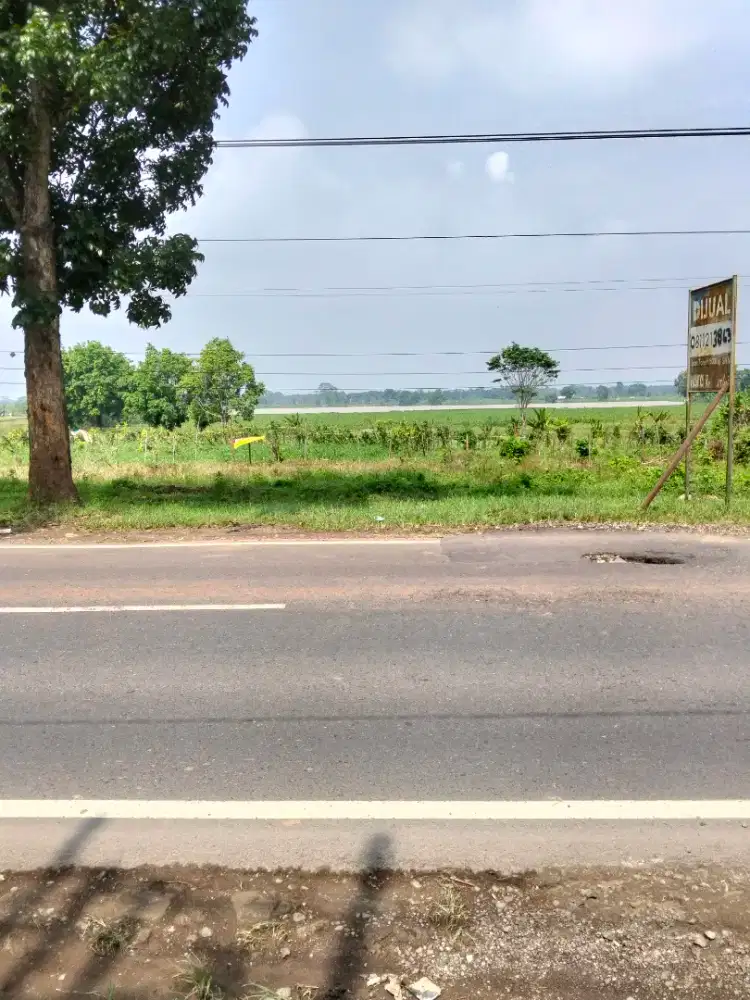Jual 5000m2 tanah SUBANG ( Pagaden)