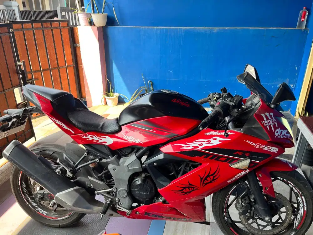 Kawasaki Ninja Mono RR