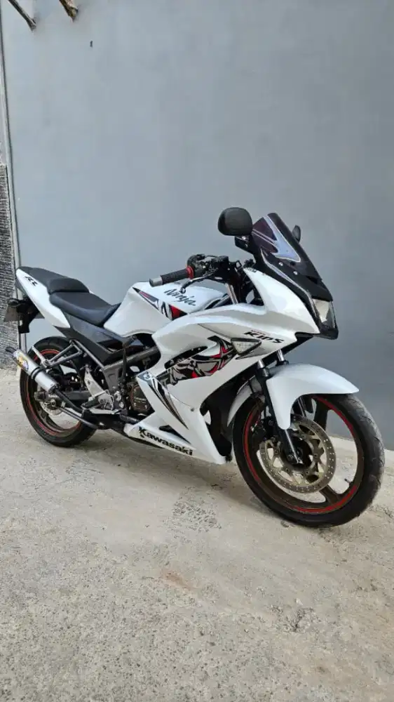 Ninja RR NEW  2013 RR NEW
