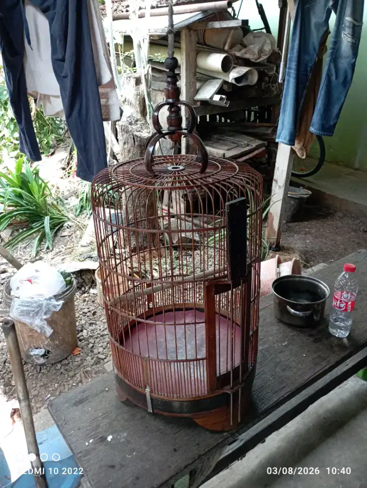 kandang Anis bekas