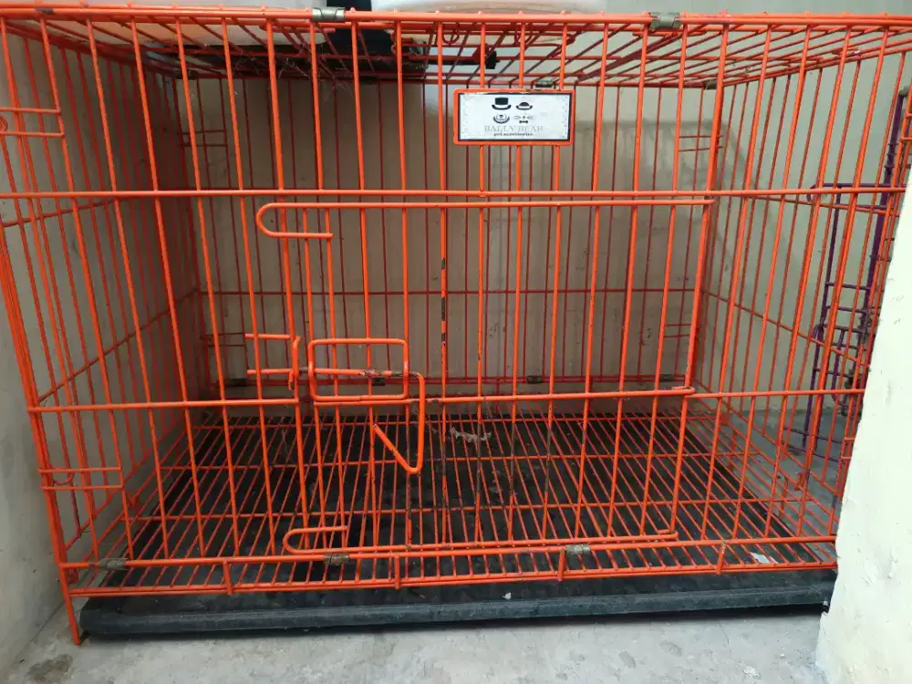 2 Kandang Kucing