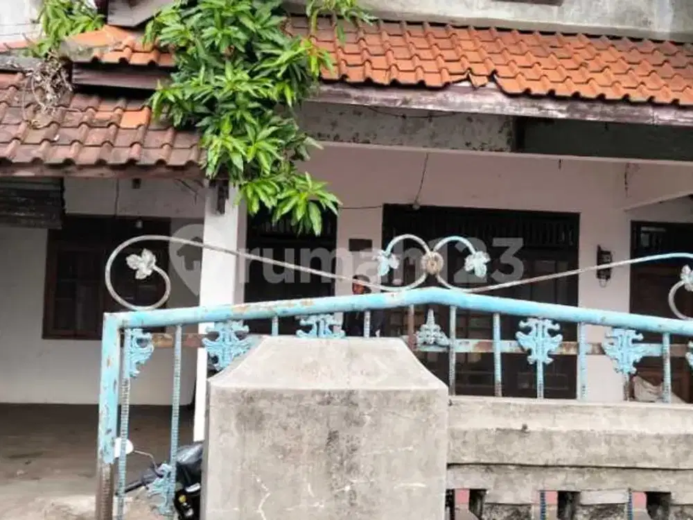 Rumah dan Sarang Walet di Daerah Pantura Tulis