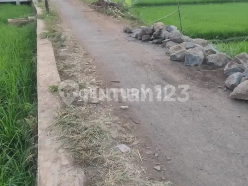 JUAL CEPAT TANAH KEBUN DAN SAWAH DAERAH CIANJUR