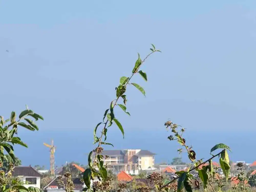 DIJUAL TANAH UNBLOCK OCEAN VIEW – UNGASAN, BALI
