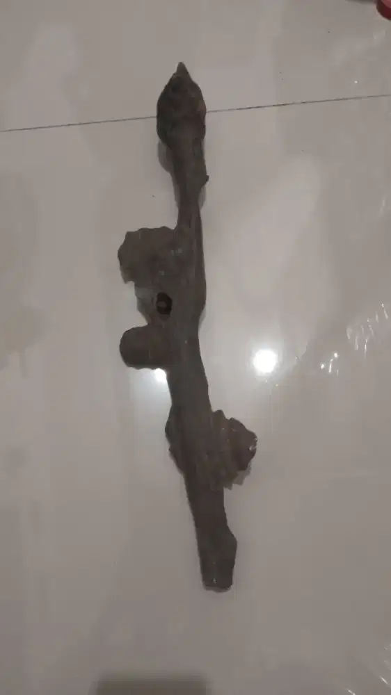 Kayu kalimantan