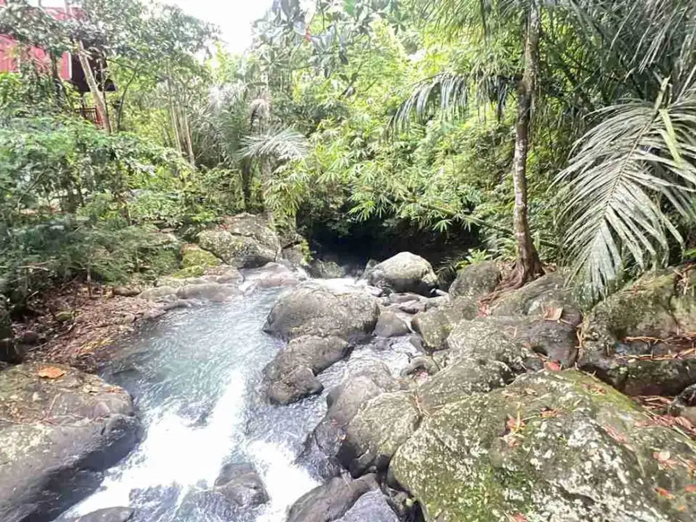 jual tanah kebun Los sungai besar, dengan aneka buah lokal di manikyang selemadeg tabanan bali.