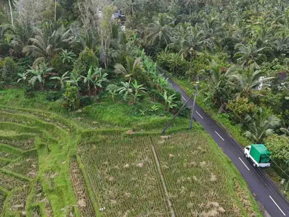 jual tanah luasan kecil view sawah area pemukiman di wanagiri selemadeg tabanan bali.
