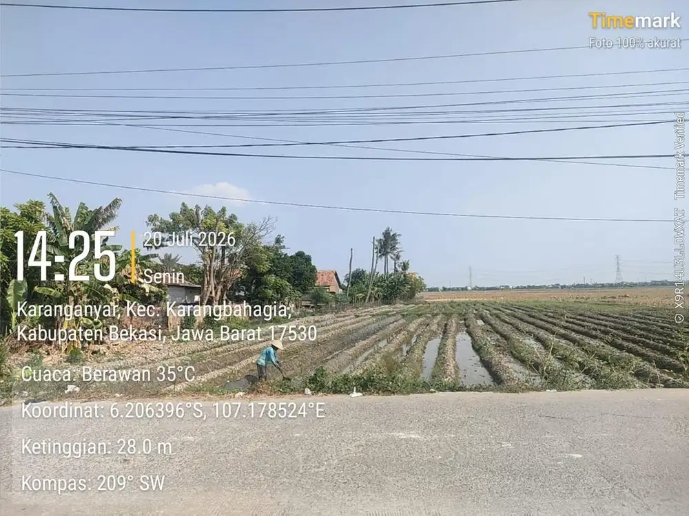Tanah atau Sawah 13.500 Meter Karang Bahagia, Karang Anyar, Bekasi