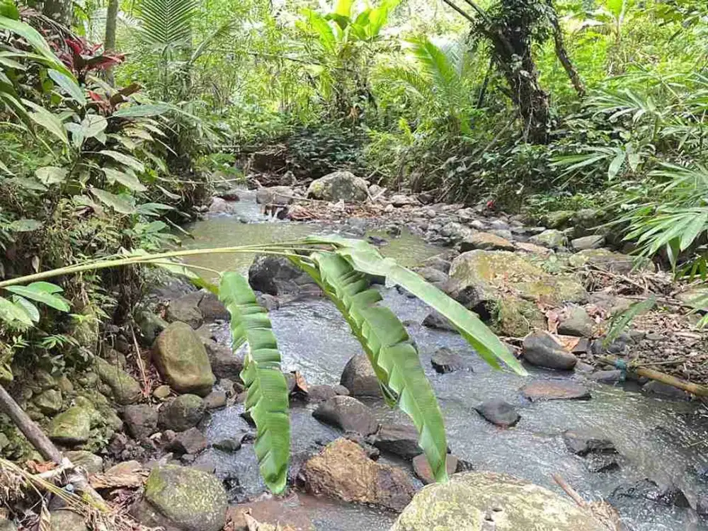jual tanah di apit dua sungai di desa wisata manikyang, selemadeg tabanan bali.