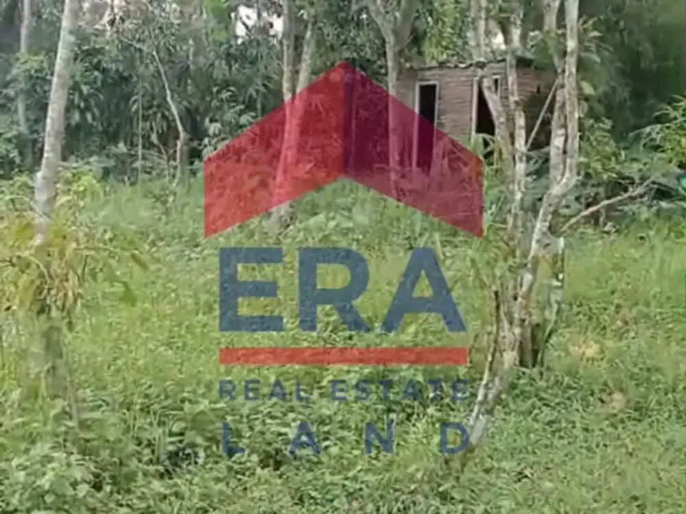 Dijual Tanah di Jalan Dusun Sekar Poncokusumo Tumpang Malang