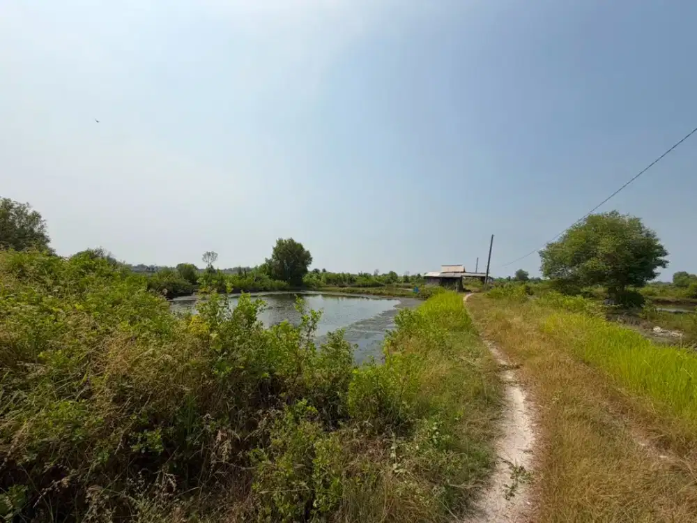 TANAH LUAS KOSONG KAWASAN GRESIK, JAWA TIMUR