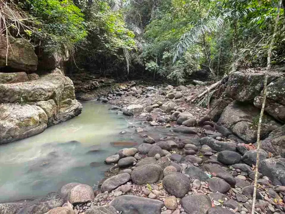 jual tanah kebun view sungai eksotik dan view junggle yang asri di tabanan bali.