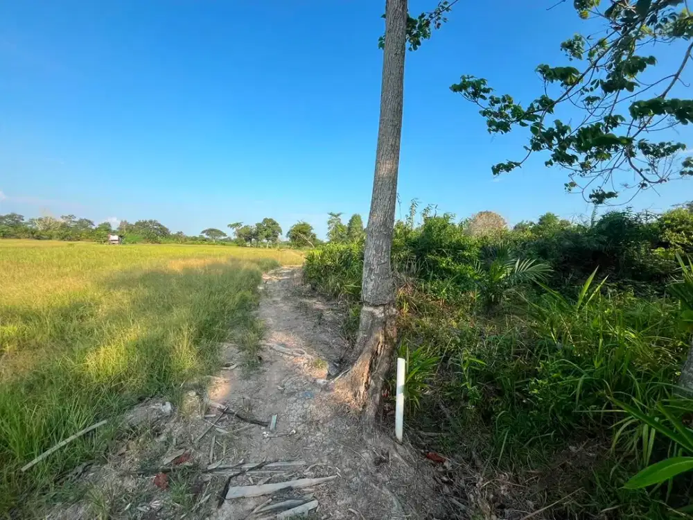 DIJUAL LAHAN JALAN PELTU M NURMALIAN SOAK BATOK OGAN ILIR