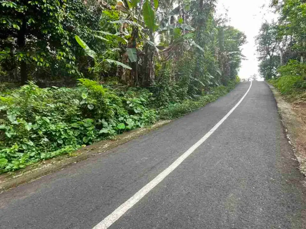 jual tanah kebun aneka buah lokal area pemukiman di tabanan bali.