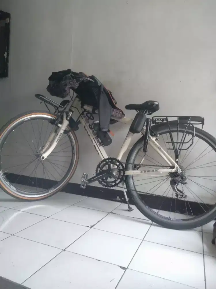 Sepeda merk aleoca