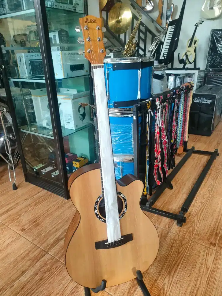 GITAR AKUSTIK DLUXE DF110
