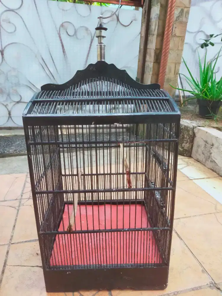 Jual kandang kotak no 3