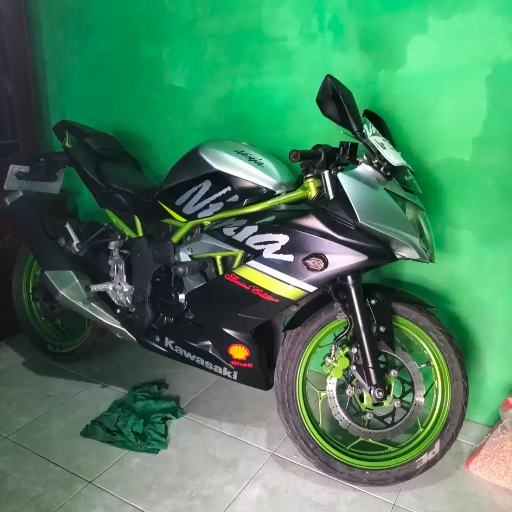 Ninja 250R fi mono tahun 2019 PMK 2021