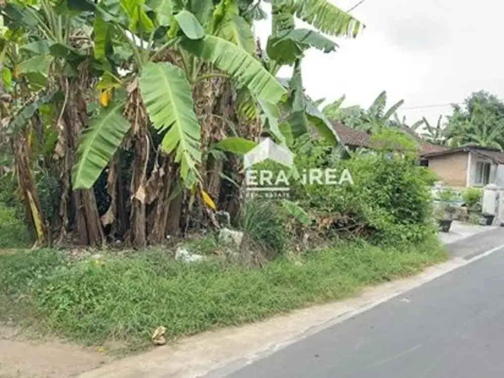 TANAH DIJUAL DI SOLO KARTASURA DEKAT KRATON KARTASURA, JL SLAMET RIYADI